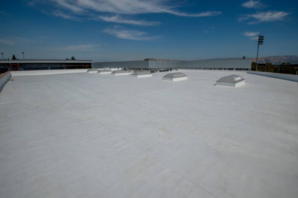 Best Chimney Flashing Repair  in Ara, AL