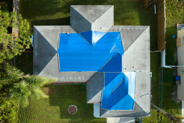 Best Roof Moss and Algae Removal  in Ara, AL