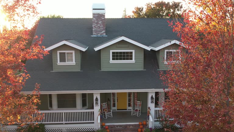 Best Skylight Installation and Repair  in Ara, AL