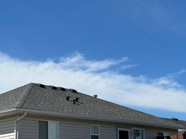 Best Slate Roofing  in Ara, AL